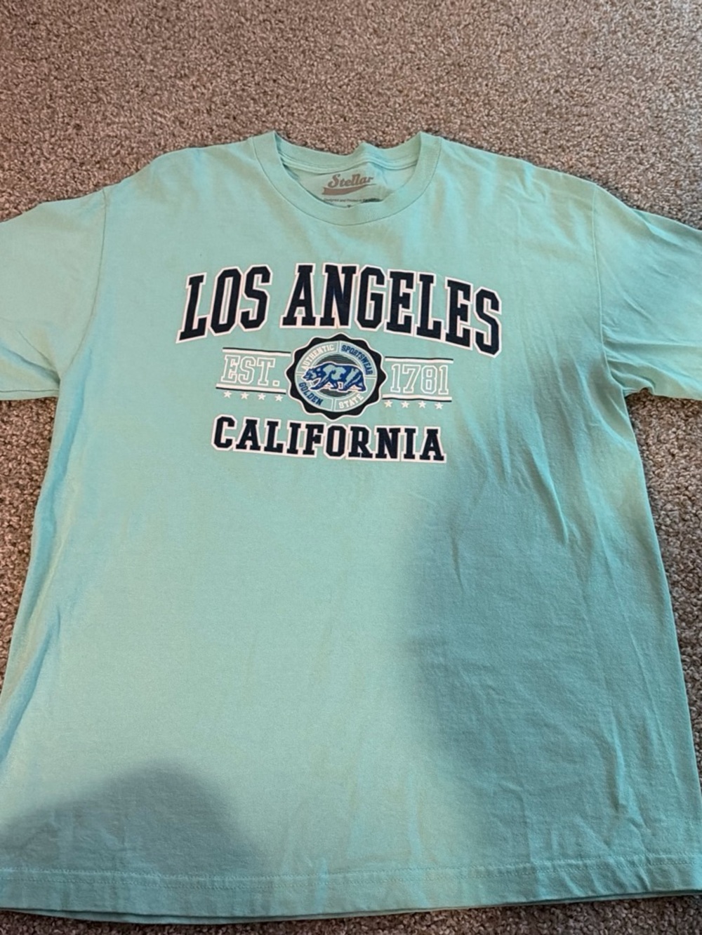 Los Angeles California Graphic Tee - Mint